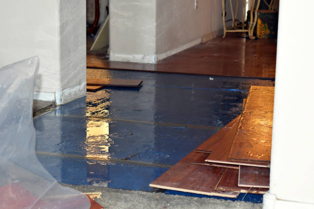 Professional Basement Flood Cleanup technician working in Salem, WI